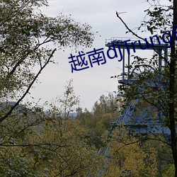 越南djTrungBopbiMa