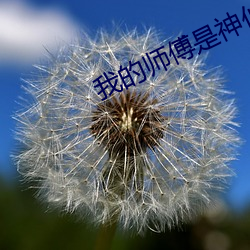 我的师傅是神仙 （素愿）