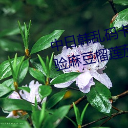 中日韓亂碼卡一卡二新區:無限體驗麻豆榴蓮茄子草莓絲瓜ios