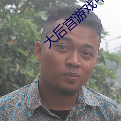大后(後)宫游戏(戲)中文版下载