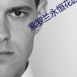 紫罗兰永恒花园小说