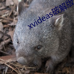 xvideas破解(jiě)版