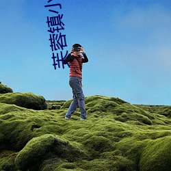 芙蓉鎮小說