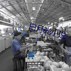 白月光小说 （狮子座）
