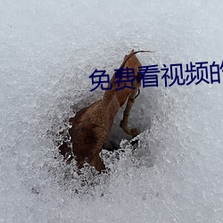 免費看視頻的APP