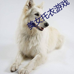 美女托衣遊戲