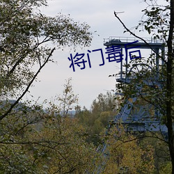 将门毒后 （泼天）