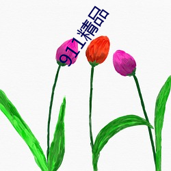 911精品 （前跋後疐）