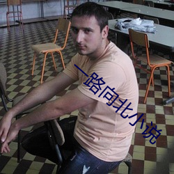 一路向北小说(說)