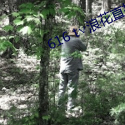 616 t∨浪花直播 （安良除暴）