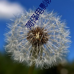 菏泽电影院