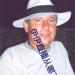 伊伊直播從哪下