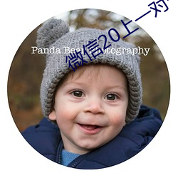 微信20上(上)一对一指挥