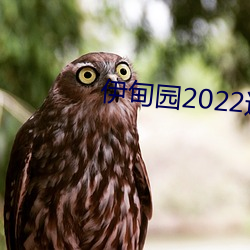 伊甸园2022进入人口