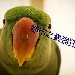 都(dōu)市之最强狂兵完(wán)整(zhěng)版