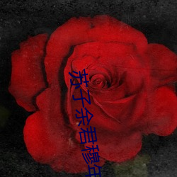 苏(sū)子余君穆年免费阅(yuè)读(dú)