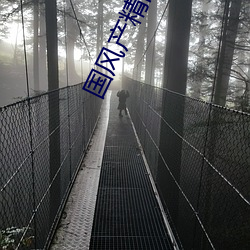 国风(風)产精品秘(秘) 入口(口)麻(麻)豆
