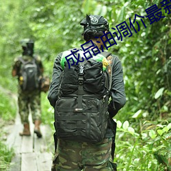 成品油调价(jià)最新消息2025
