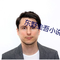 东野圭吾小说