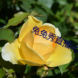 金年会 | 诚信至上金字招牌