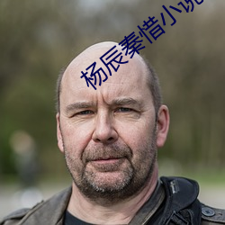 杨(楊)辰秦惜小说全(全)文免费阅(閱)读