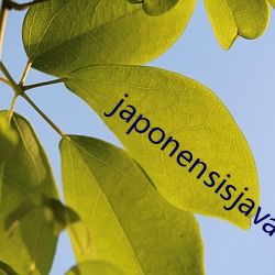 japonensisjava