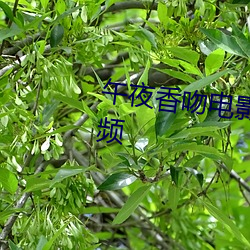 午夜香吻电影(zài)线观(guān)整版视频