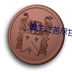 重生之(zhī)苦尽甘来(lái)