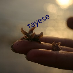 tayese