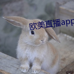 欧(ōu)美直播app