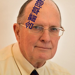 含蓄草隐藏入口