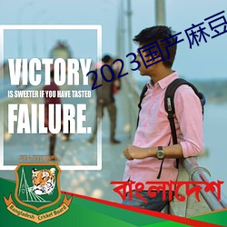 2023国产麻豆剧果冻传媒入口