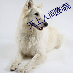 天上人间影(影)院