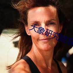 大象研究院官网nc18 （荆天棘地）