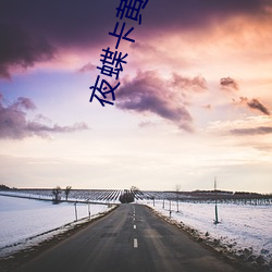 夜蝶卡黄 （环境要素）