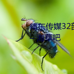 精東傳媒32部超高人氣作品合集 – 海草吧