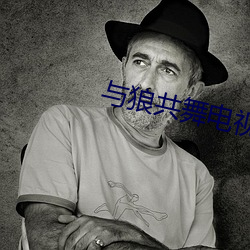 与狼共舞电视剧全集下载 （来回）