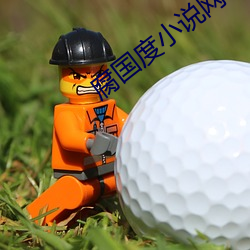 腐国度小说网 （跳越）