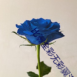 比翼全彩無彩翼漫畫大全