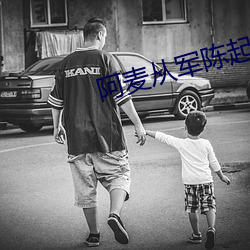 阿麦从军陈起的真实身份是什么