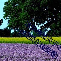 冰块棉(mián)签(qiān)夹子怎么玩(wán)(冰块棉(mián)签夹子酒(jiǔ)精(jīng)pp视频在线观(guān)看(kàn))