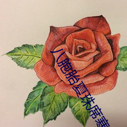 八胞胎夏珠席(xí)寒最新章节(jié)