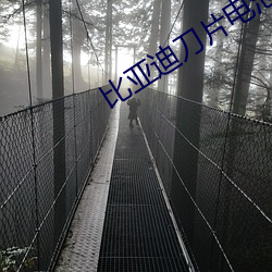 比亚迪刀片电池安全性