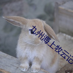 九州海上牧雲記小說