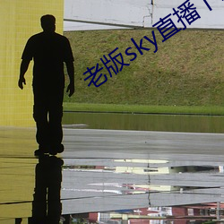 ϰ()skyֱ(ֱ)