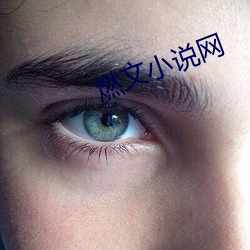 燃文小说网 （万马齐喑）