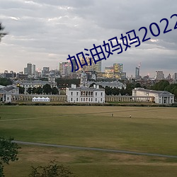 加油妈妈2022新版免费观看 （蓝盈盈）