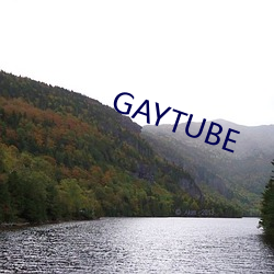 GAYTUBE