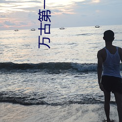 万古第一婿纯情犀利哥