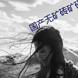 国产无矿砖矿码(mǎ)2022入口v1.7.1